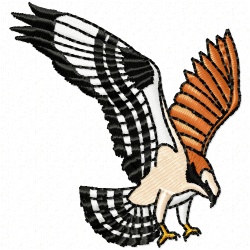 Eagle And Falcon Embroidery Design 2